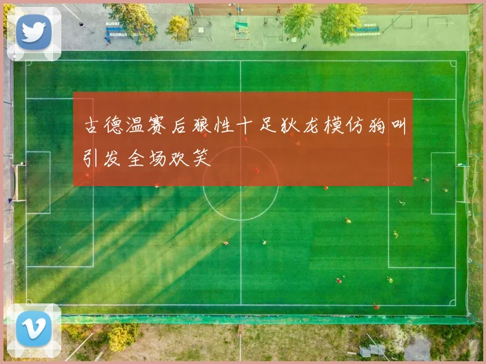 古德温赛后狼性十足狄龙模仿狗叫引发全场欢笑