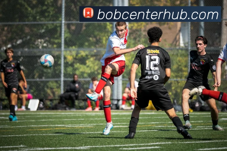 BOB体育品牌故事